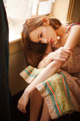 金花瓶楷梅花2杨贵妃